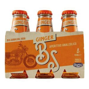 Bitter Ginger 6x100ml